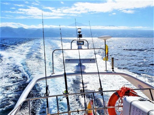 Mass Image Compressor Compressed this image. https://sourceforge.net/projects/icompress/ with Quality:76