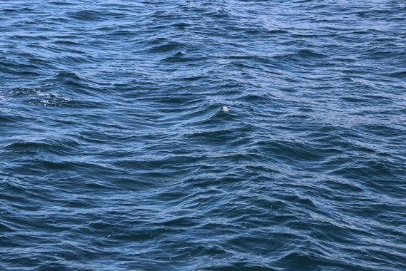 seaduction luxury yacht rental tenerife Astdondoa 4603